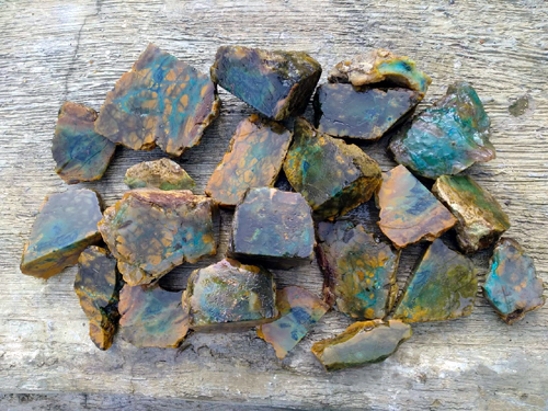 Blue Opalized Wood