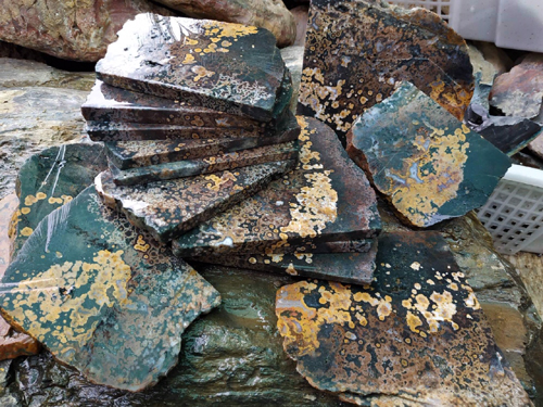 Ocean Jasper Brown