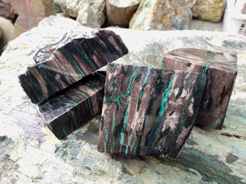 Petrified Wood with Chrysacolla