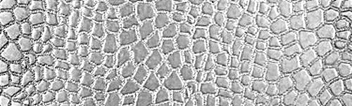 Gator Texture