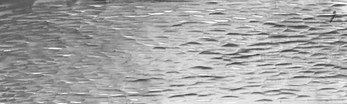 Shimmer Texture